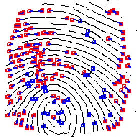 \includegraphics{finger_minutiae.eps}