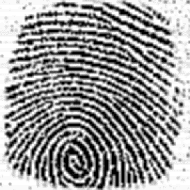 \includegraphics{finger_1.eps}