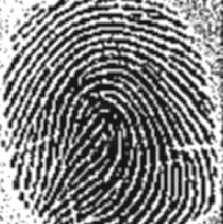 \includegraphics[width=4.5cm]{ania1_2.eps}