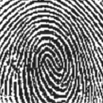 \includegraphics[width=4.5cm]{krzys1_2.eps}
