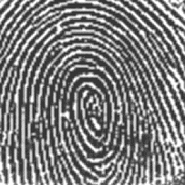 \includegraphics[width=4.5cm]{krzys2_1.eps}