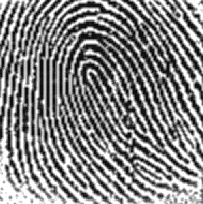 \includegraphics[width=4.5cm]{krzys3_1.eps}