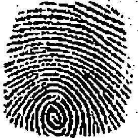 \includegraphics{finger_2.eps}